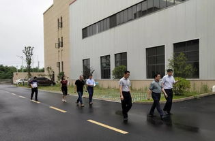 武汉市新洲区区长刘润长深入德美新工厂调研，指导政策落地与市场研究工作